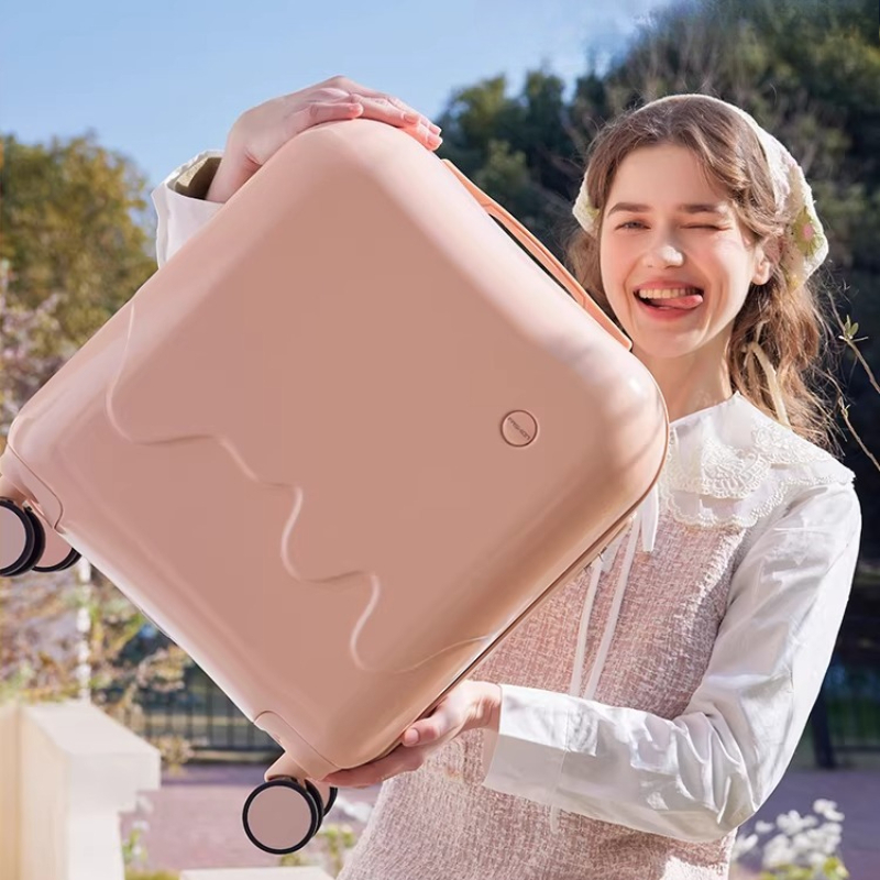 Small Children's Luggage 20 In - Spinner Wheel Rolling Suitcase 20 Inch 评论和价格