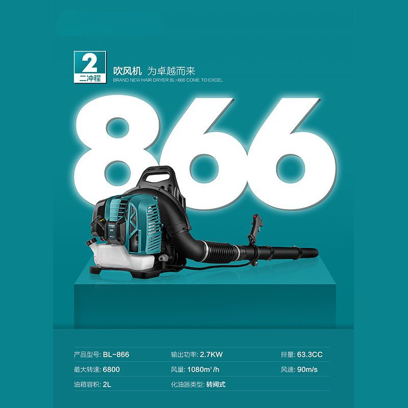 Two-stroke backpack hair dryer - Backpacks 评论和价格