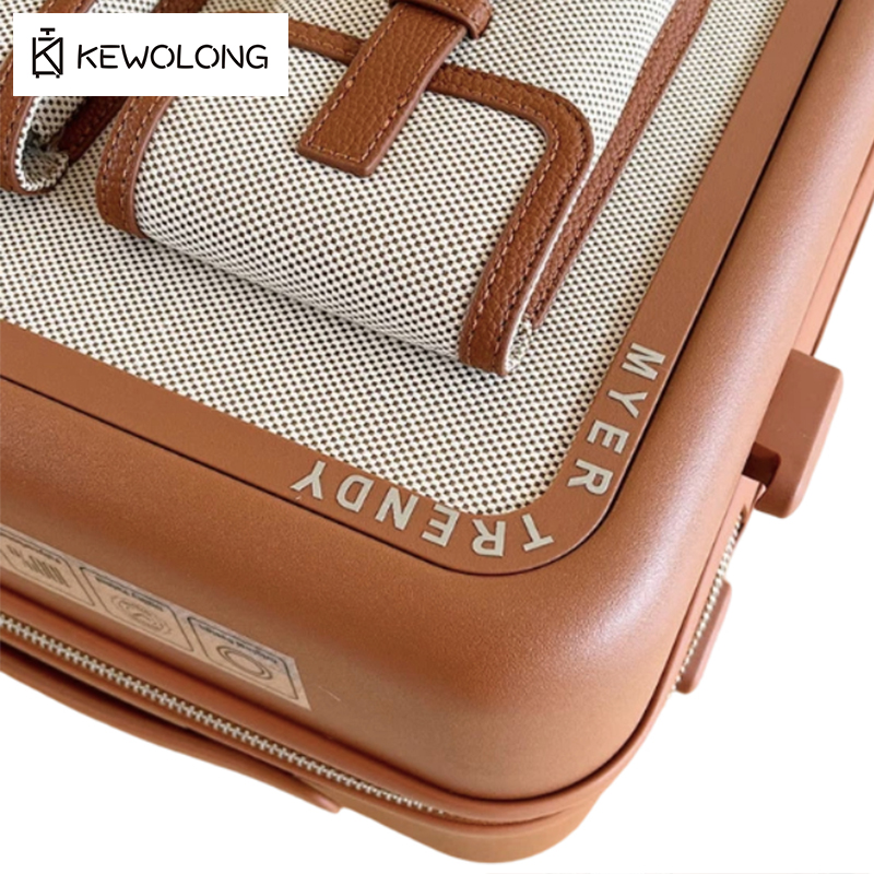 Vintage Canvas Spinner Suitcas - Spinner Wheel Rolling Suitcase 20 Inch 评论和价格
